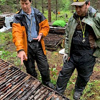 PEMC geologist & advisor Dr. Paul Johnston inspecting historical drill core